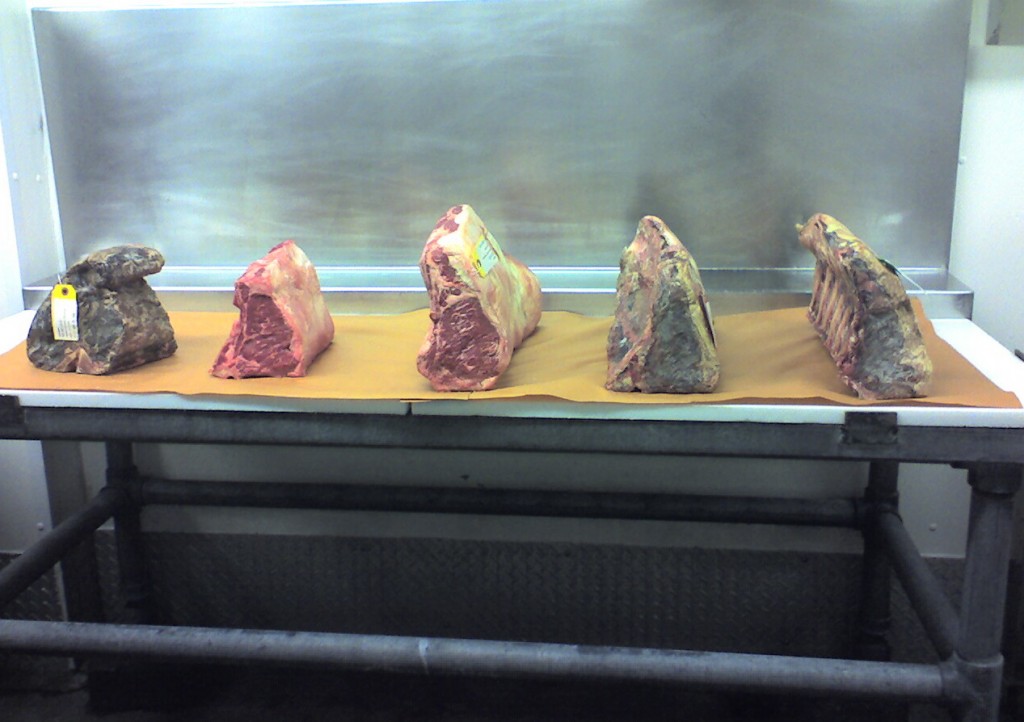 tour-de-beef-debragga