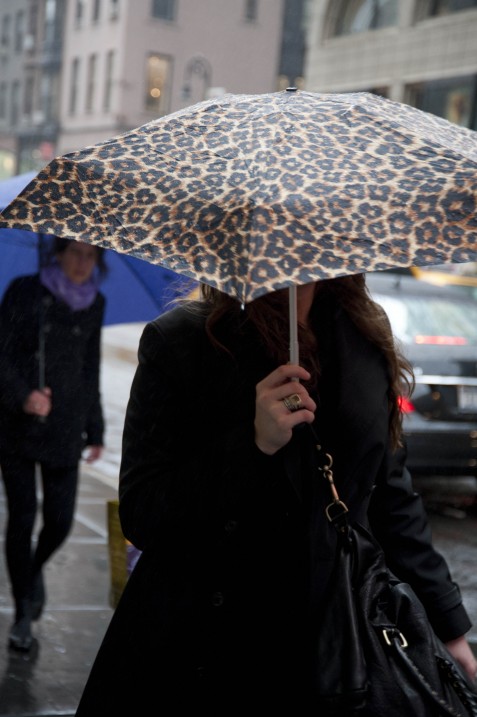 Leopard Umbrella, Rainy Day Wear Leopard Umbrella, Rainy Day Wear