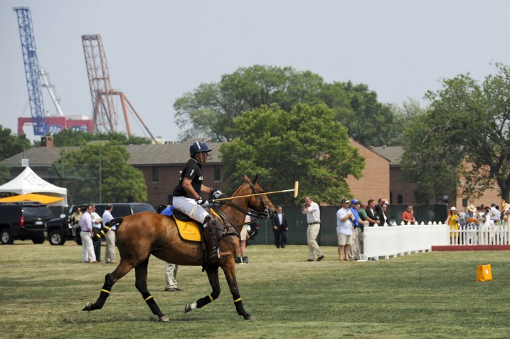 Polo Against a Backdrop of Cranes, Veuve Clicquot Polo 2010
