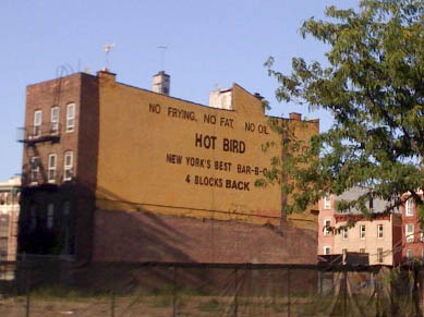 hot-bird-1 hot-bird-1