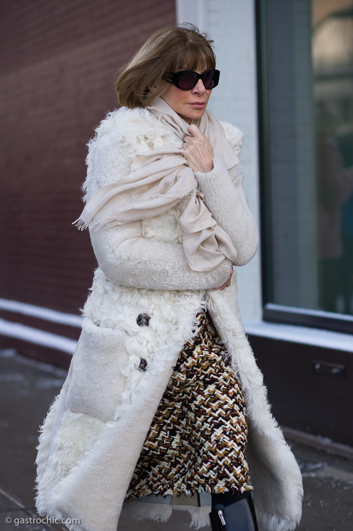 Anna Wintour at Rodarte FW2015