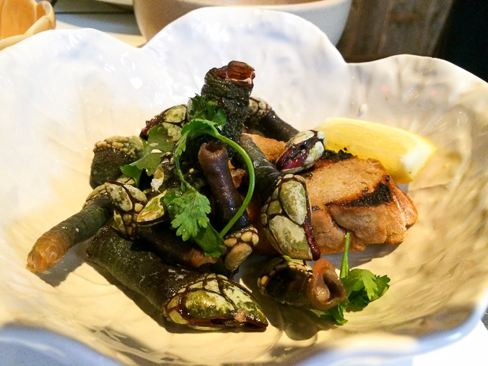 Gooseneck Barnacles, Lupulo